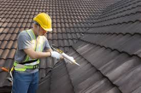 Best Rubber Roofing (EPDM, TPO)  in Severna Park, MD